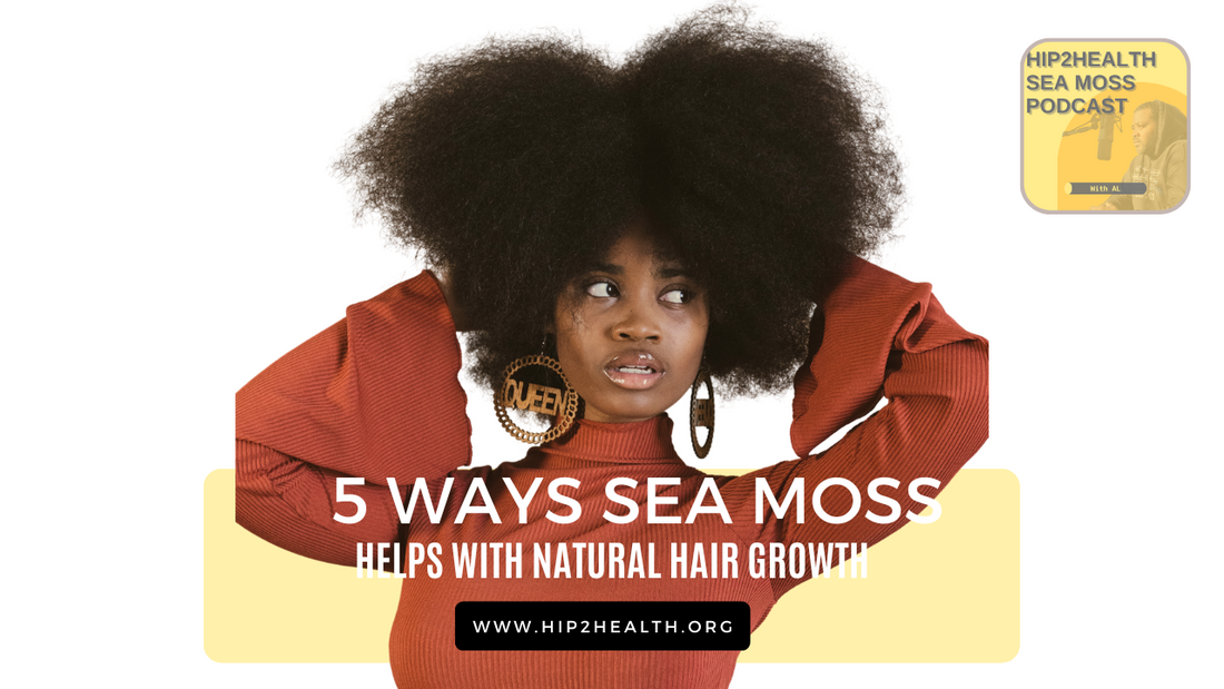 Natural Hair Growth - 5 Ways Sea Moss Helps - Hip 2 Health
