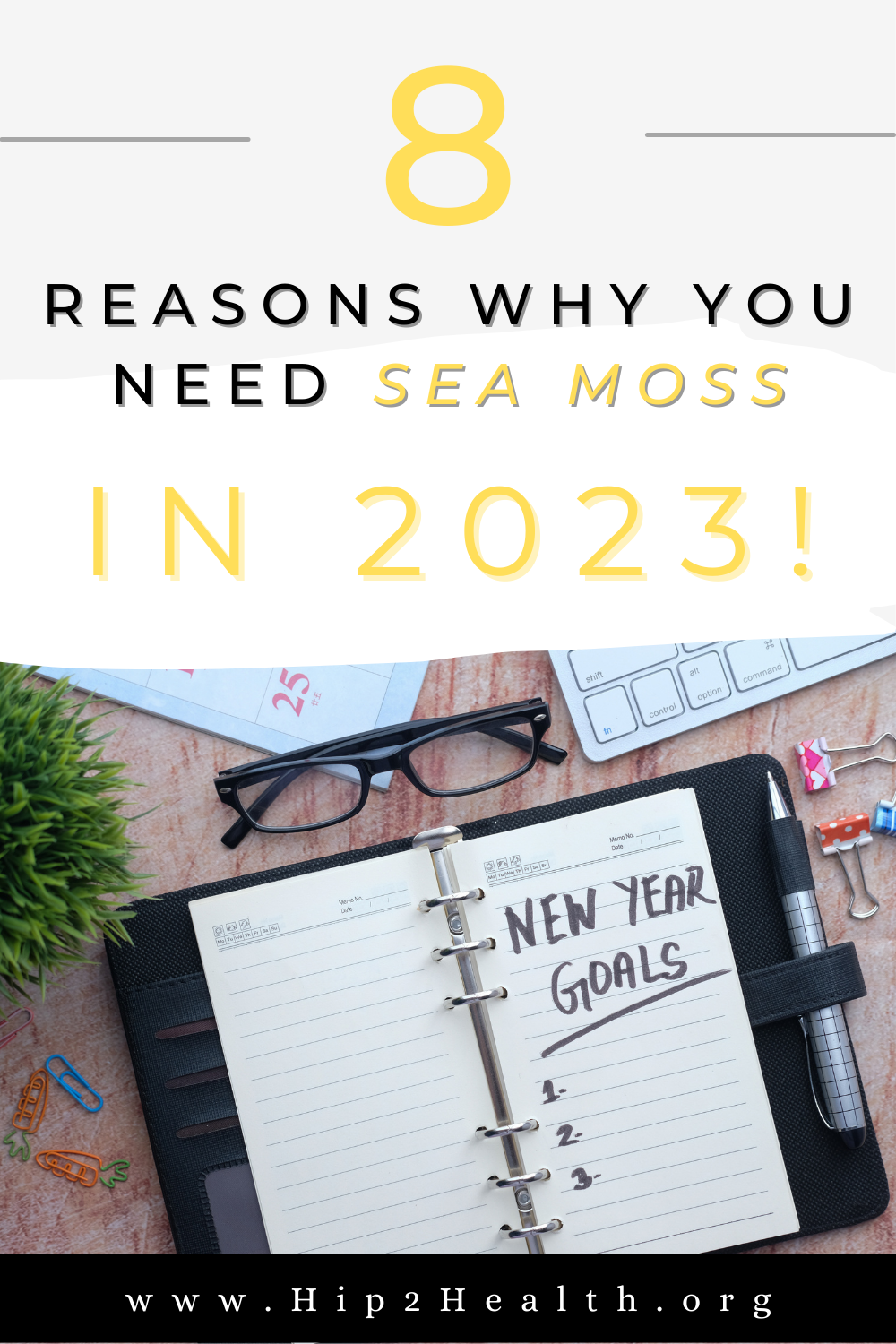 8 Reasons Why You Need Sea Moss In 2023